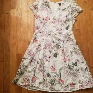 NWOT Ann Taylor dress